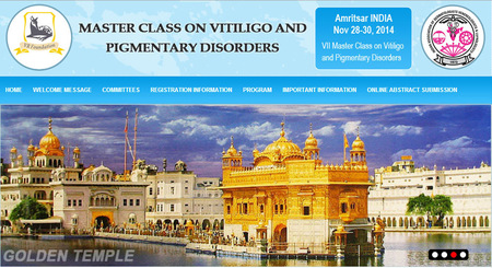 Viii Master Class On Vitili