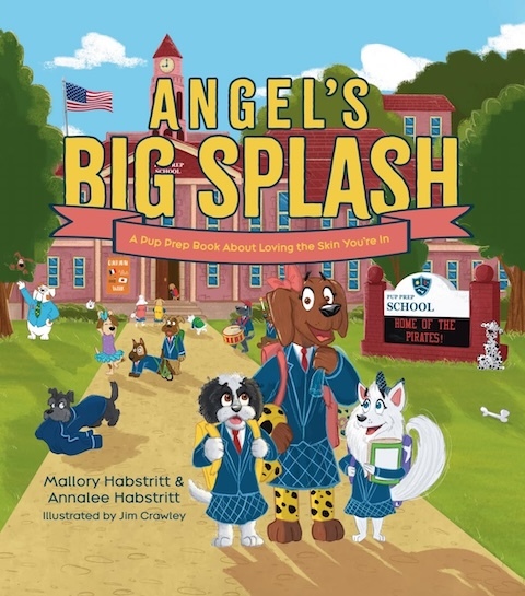 Angel's Big Splash book cover