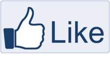 Facebook Like Icon (1) Facebook Like Icon (1)