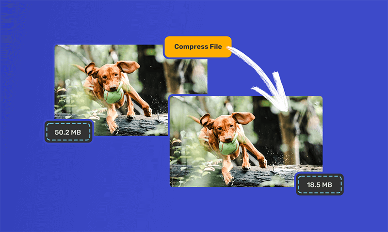 Bestes Videokompressor-Tool